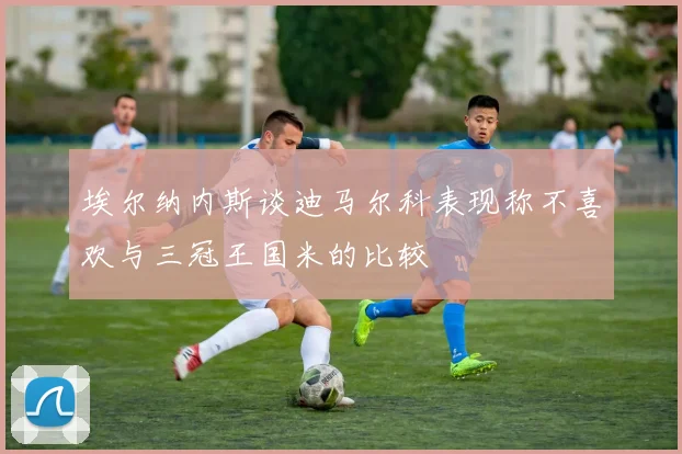 埃尔纳内斯谈迪马尔科表现称不喜欢与三冠王国米的比较